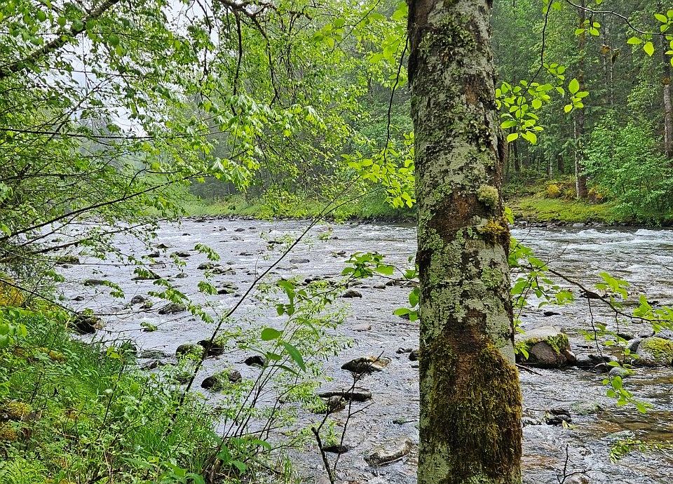1st image of 63956 E Barlow Trail Rd