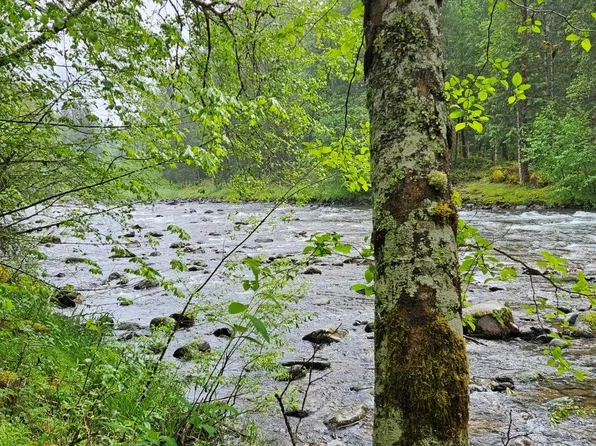 63956 E Barlow Trail Rd, Rhododendron, OR 97049