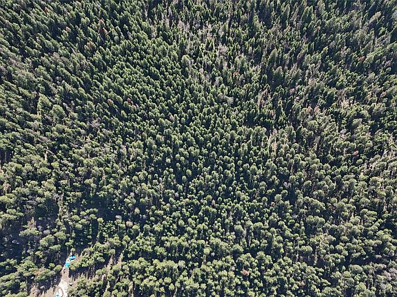 2nd image of N/a Wapiti Point Rd