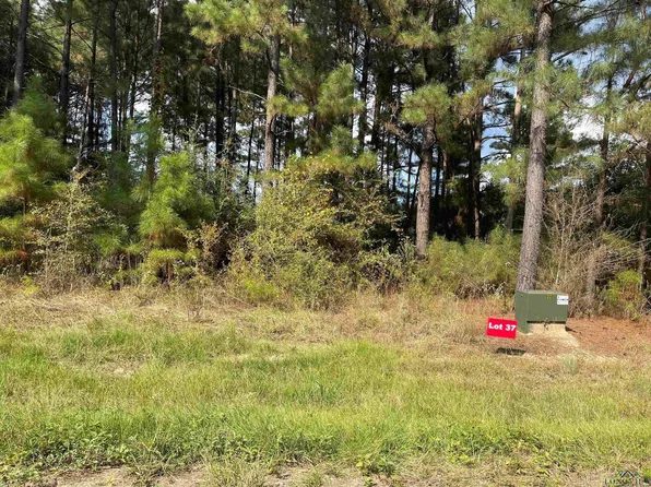 37 County Road 2204d & Dm #1797, Tatum, TX 75691