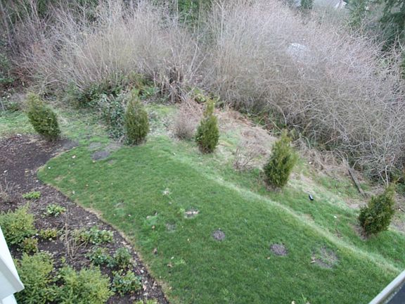 4th image of 13560 39th Ave NE