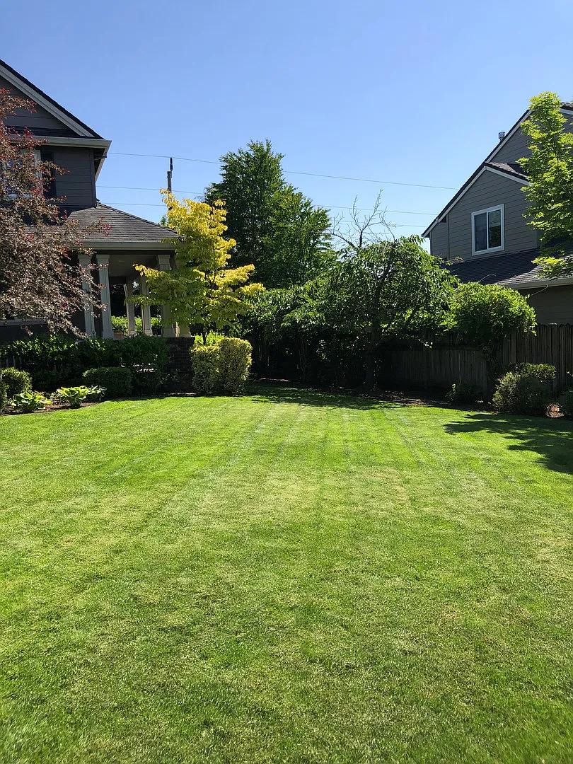 5 Bedrooms and 2.5 Bathrooms with Views of the Rolling Hills of Corvallis Country Club — Photo 3