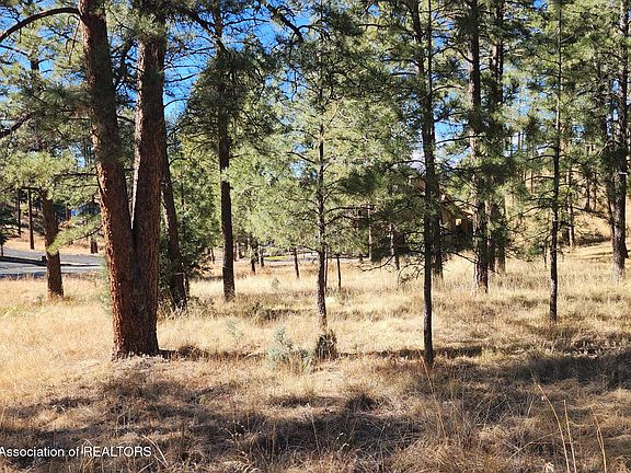 3rd image of 604 White Mountain Meadows Dr