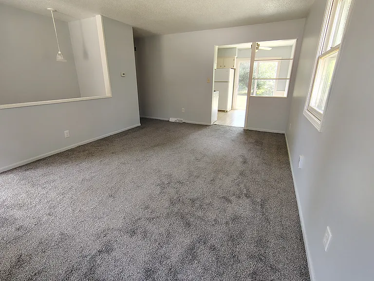 Livingroom - New Carpet