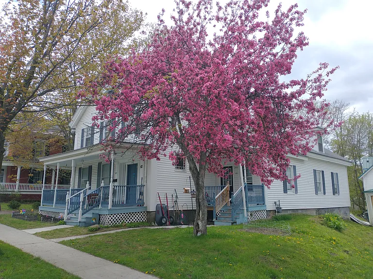 62 Fairfield St #1 — Photo 12