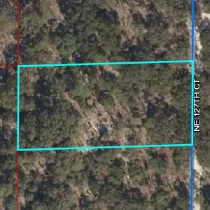  87th Pl, Bronson, FL, 32621