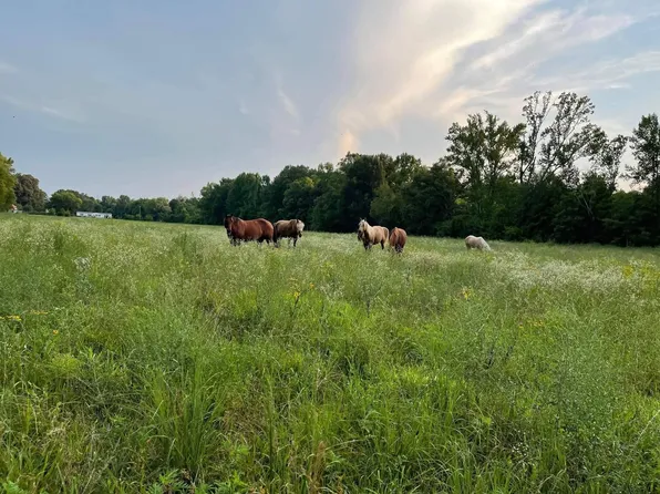 301 Laster Holman Rd, Decherd, TN 37324