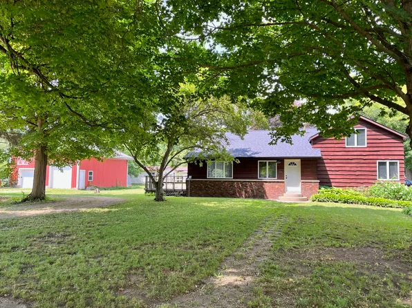 221 N Williams St, Bellevue, MI 49021