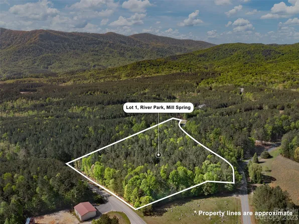 1 Green River Farm Ln, Mill Spring, NC 28756