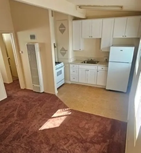 Kitchen : Gas Stove and Refrigerator