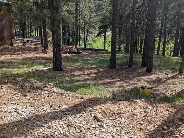 171 Snowbird Court, Bayfield, CO 81122