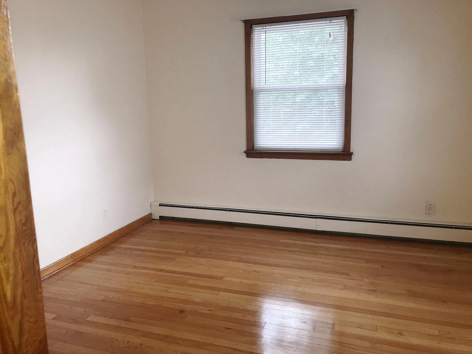 1 bed, $1,550 — Photo 3