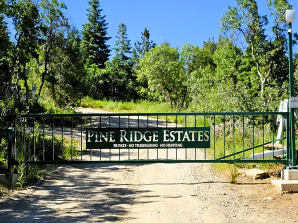 13464 N 12621 E #22, Mount Pleasant, UT 84647