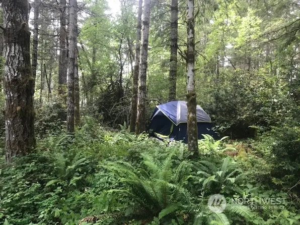 131 E Duck Cove Road, Shelton, WA 98584