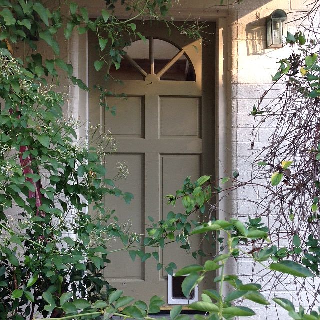 Enter here...