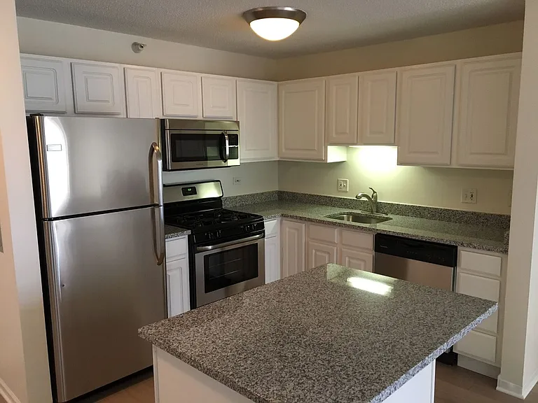 545 N Dearborn St #2102 — Photo 11