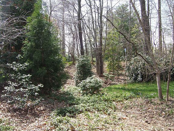 Tranquil View from Deck