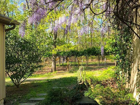 Side Yard
