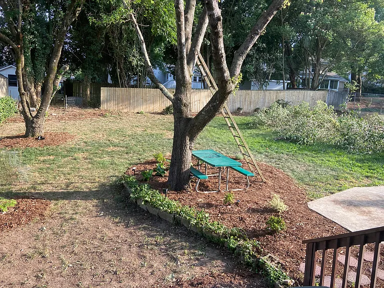 Fenced Back Yard