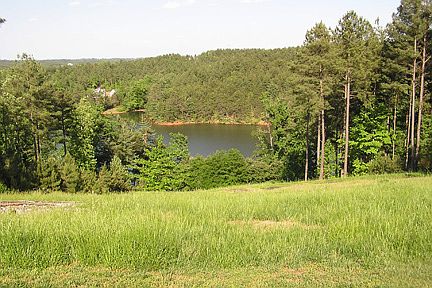 Panoramic Views