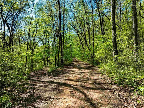5th image of 0 River Rd