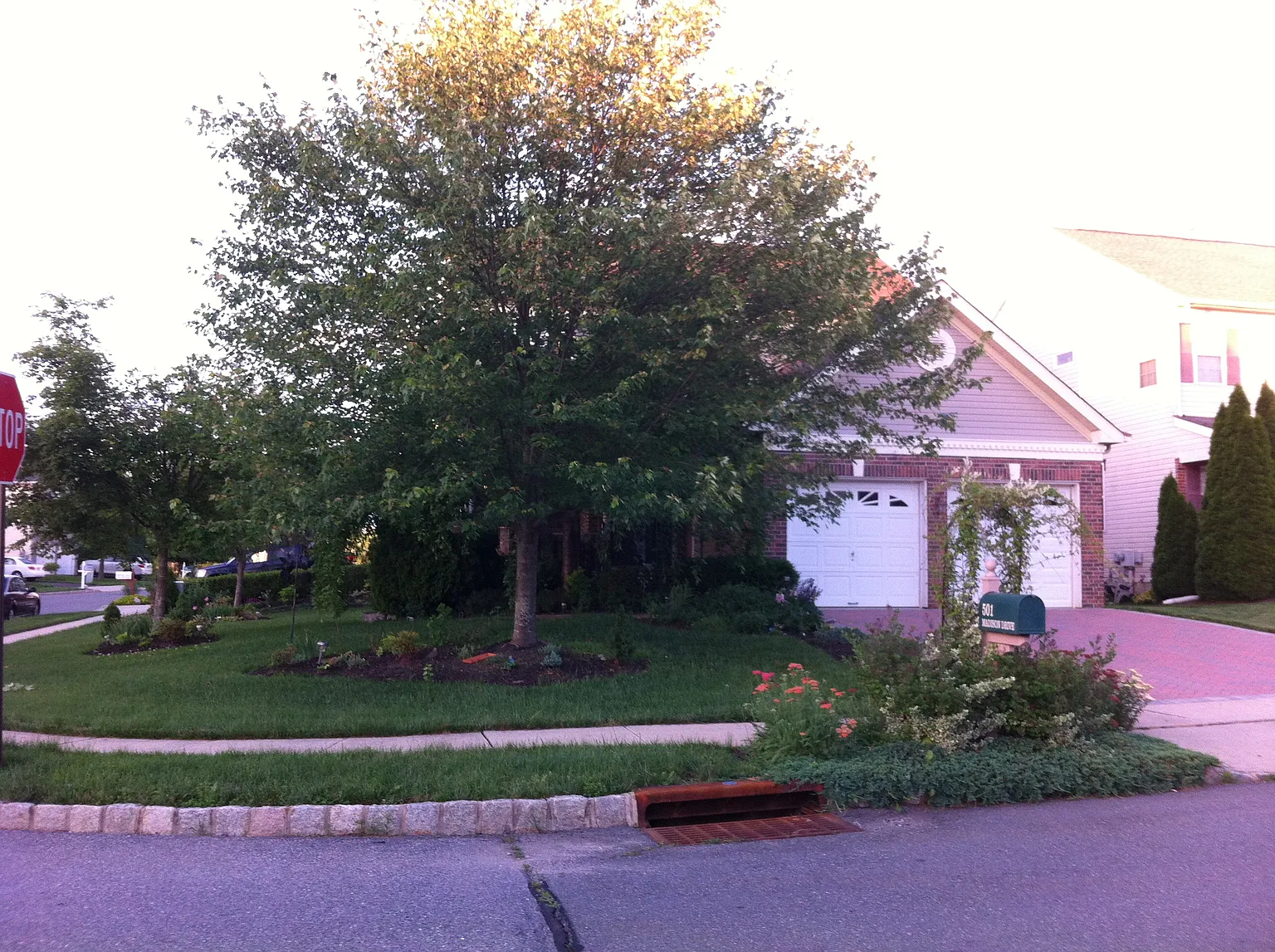 501 Madison Dr photo 1