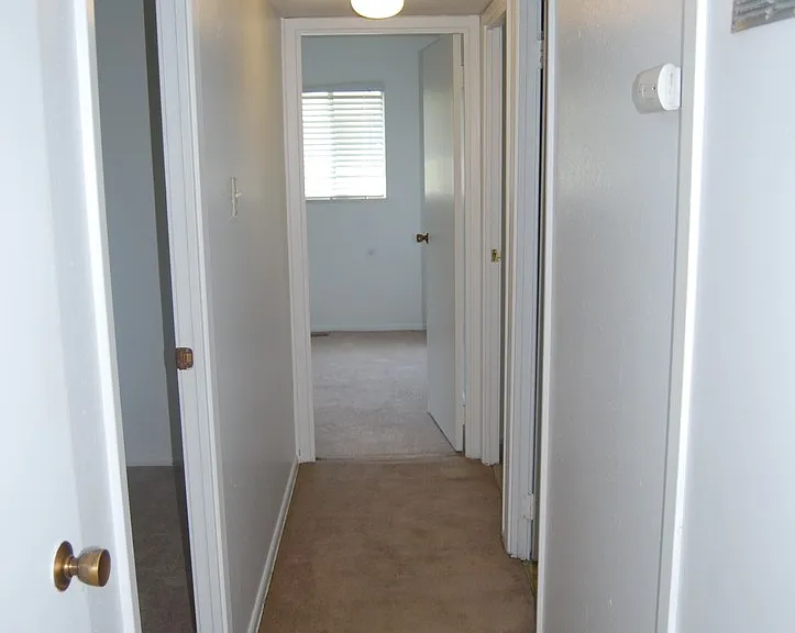 7712 Colony Ln — Photo 7