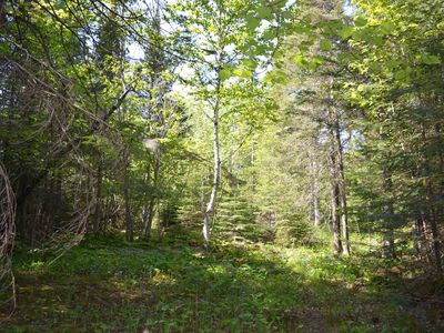 92X E 5th St, Grand Marais, MN, 55604
