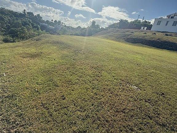 5th image of Colinas De Palmarito