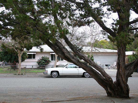 3rd image of 323 Hardister Dr