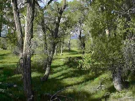 1st image of 9 Sand Creek Dr