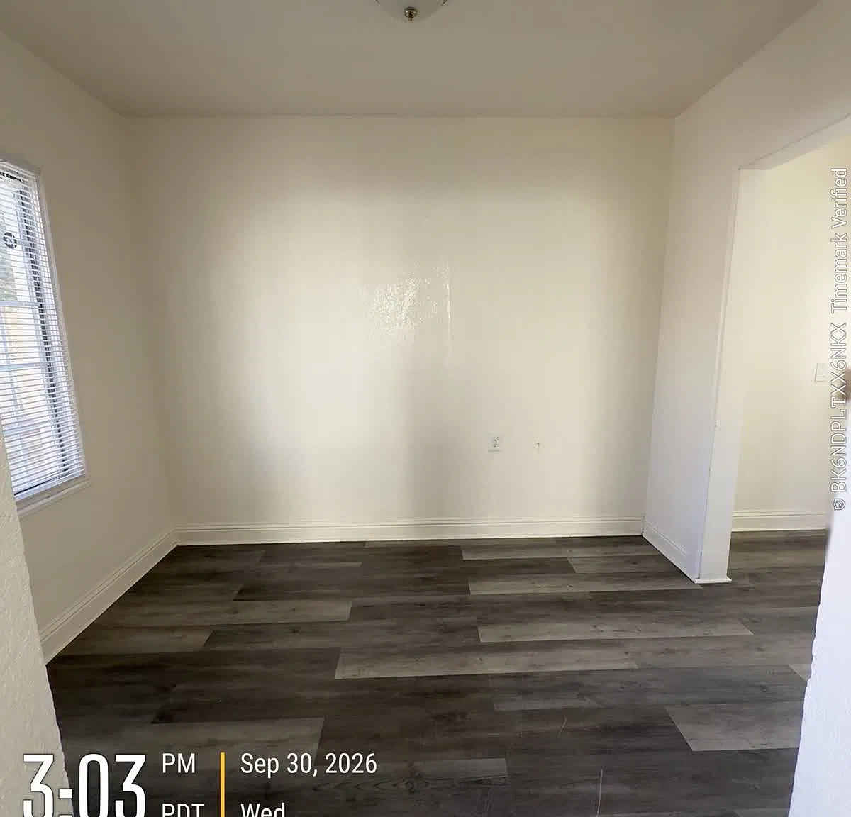 2027 Pacific St — Photo 3