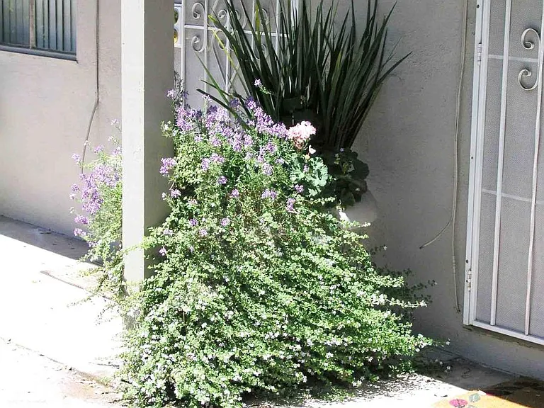 850 Calderon Ave #12 — Photo 11