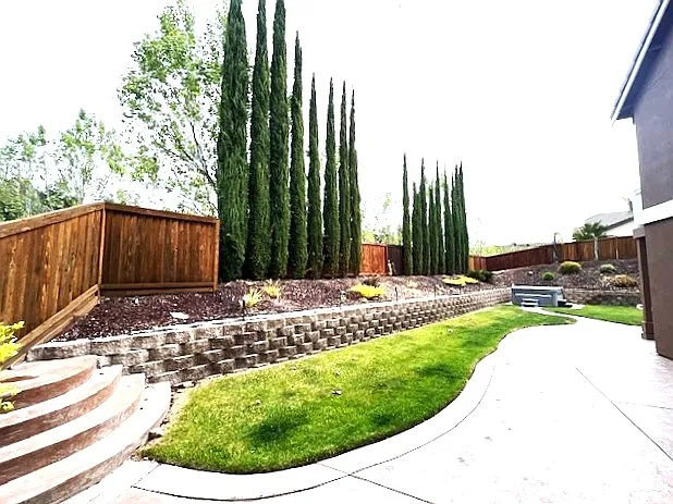 Huge Back Yard
