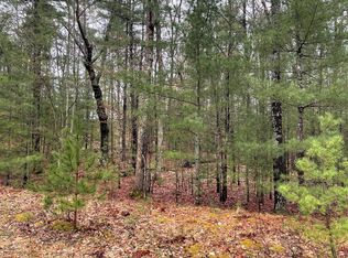 Wintree Dr, Indian river, MI 49749