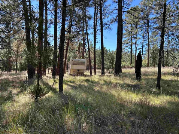 Winter Ln, Timberon, NM 88350