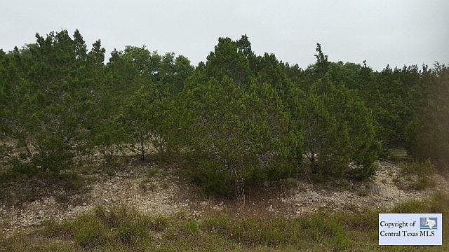 2nd image of 554 Lonesome