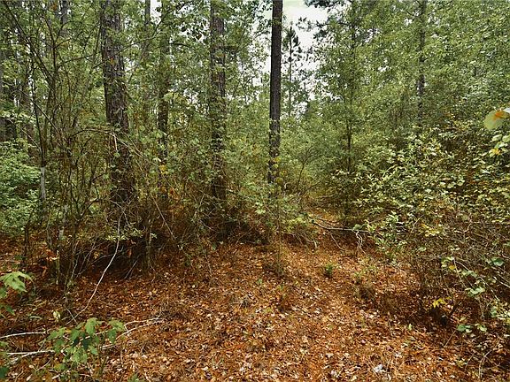 4th image of Sweet Gum Rd Lot 20