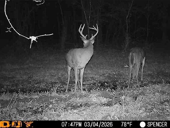 Screenshot 20260304 195552