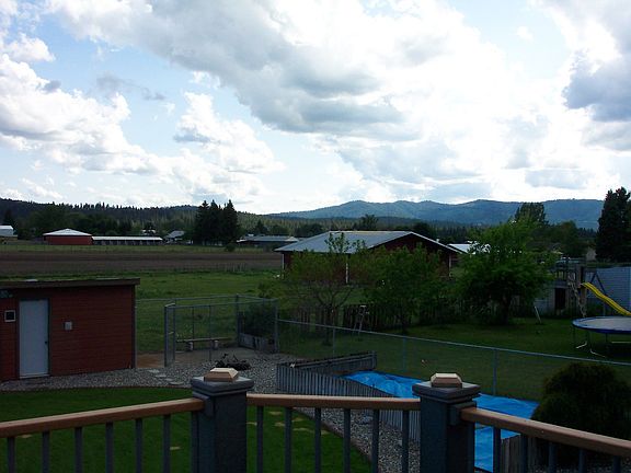 back yard - east