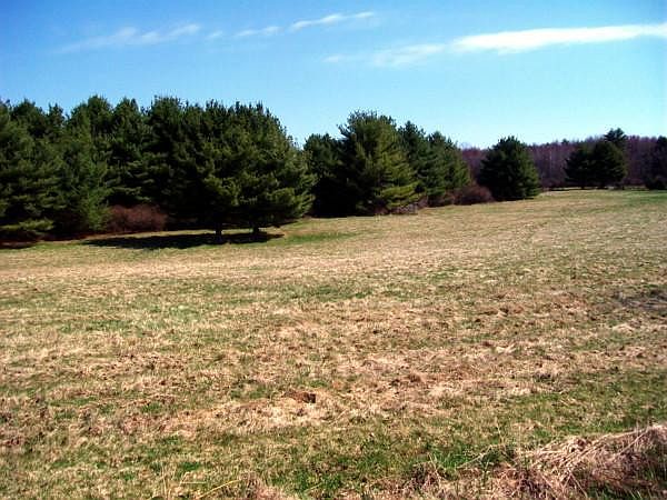 2nd image of Mohn Rd