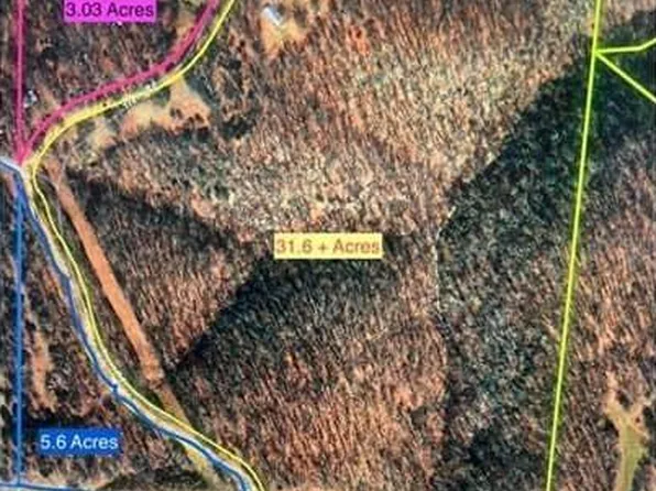 519 Trent Road, Washburn, MO 65772
