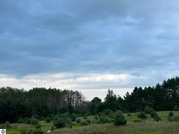 Cook Rd, Williamsburg, MI 49690