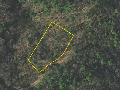 LOT 37 Clydesdale Way, Del Rio, TN, 37727