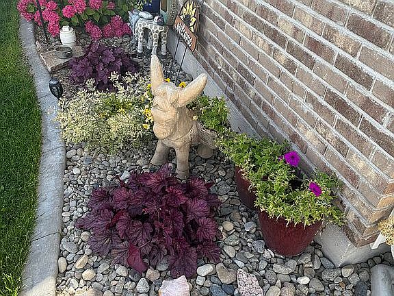 Out front plants