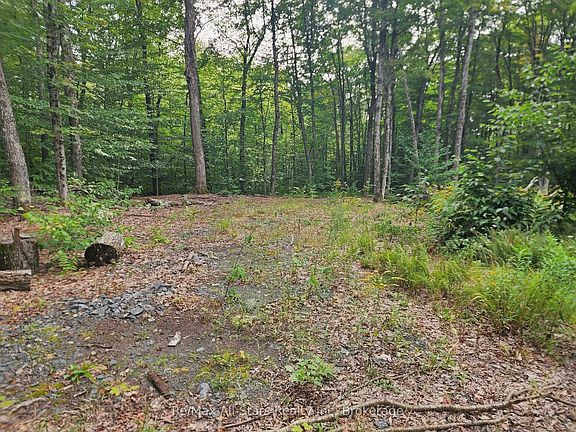 3rd image of 3480 Brunel Rd