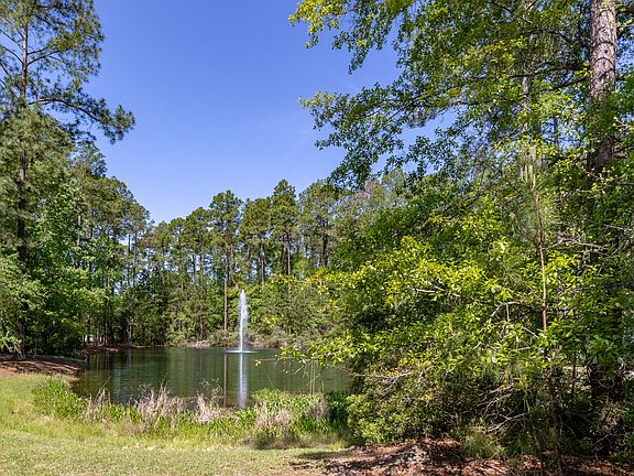Night lighted fountain rear