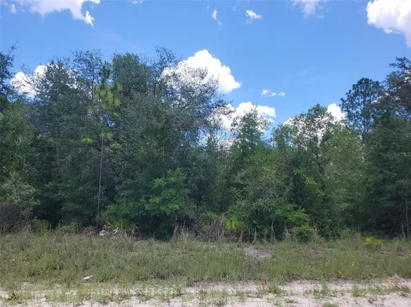 11691 NE 106TH COURT LOT 7, ARCHER, FL 32618