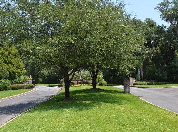 2nd image of 154 Stillwater Dr