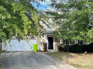 44 Rustyred Ct, Chapin, SC 29036